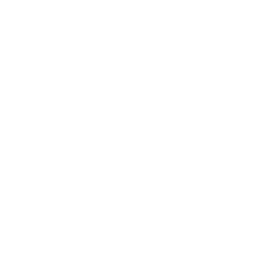 Luxz logo