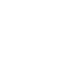 Adopt logo