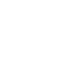 Blue Diamond logo