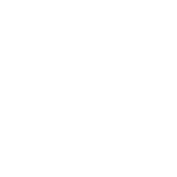 Chic Boutique logo
