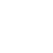 Citadel logo