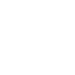 Doodland logo