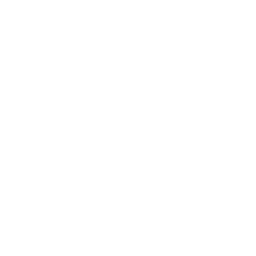 Mayil Spices logo
