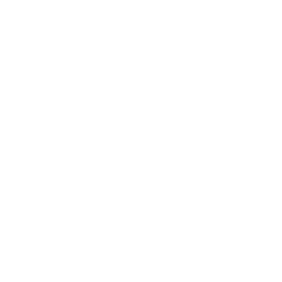 Protech logo