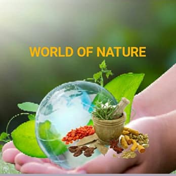 World of Nature